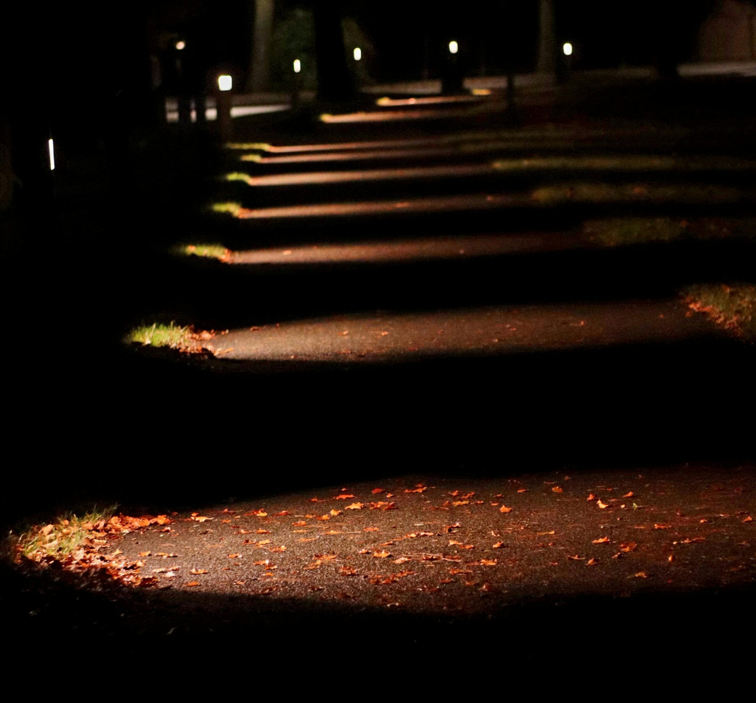 Waktu Refleksi dan Rasa Syukur di Udara Malam untuk Akhir Hari yang Positif